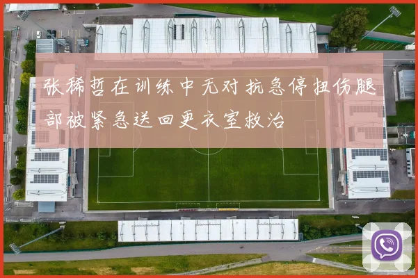 张稀哲在训练中无对抗急停扭伤腿部被紧急送回更衣室救治