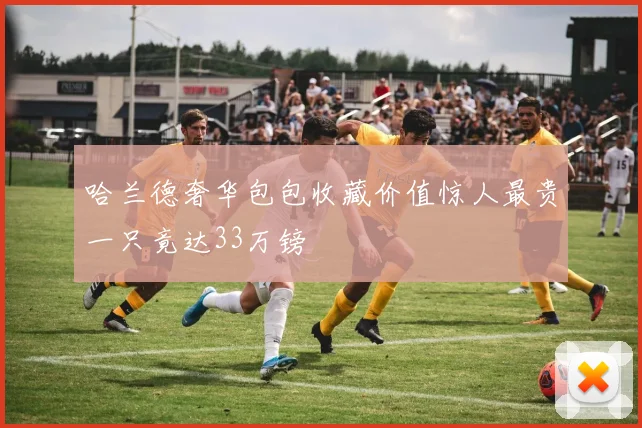 哈兰德奢华包包收藏价值惊人最贵一只竟达33万镑
